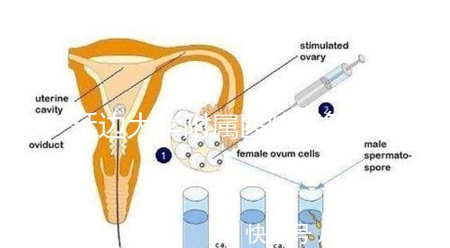 延邊大學附屬醫院試管怎么樣，助孕成功率、收費目錄表奉上