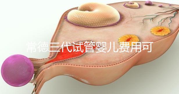 常德三代試管嬰兒費(fèi)用可以報(bào)銷嗎??jī)?nèi)附試管費(fèi)用明細(xì)
