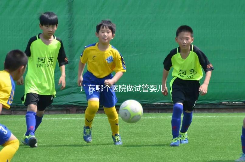 廣東哪個醫(yī)院做試管嬰兒技術好，成功率高，我今年45歲，今年在浙江做了兩次都不成功，都是8細胞一級。