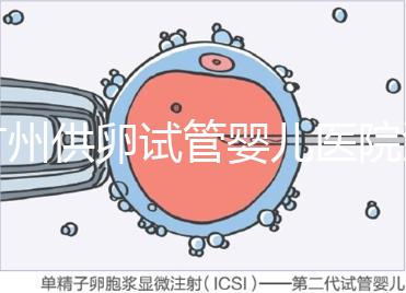 廣州供卵試管嬰兒醫(yī)院匯總,真實(shí)案例告訴你廣東哪家最好