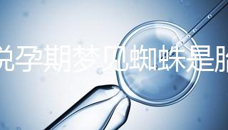 都說孕期夢(mèng)見蜘蛛是胎夢(mèng)，咬人、爬身上意思都不同快收藏