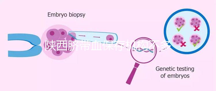 陜西臍帶血保存機構(gòu)不多，咸陽想自存請準備好費用去合肥