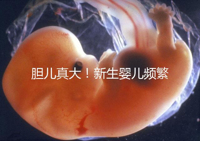 膽兒真大！新生嬰兒頻繁打嗝不要游泳以免嗆水