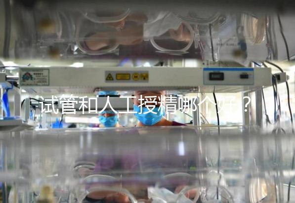 試管和人工授精哪個好?適配人群各不同