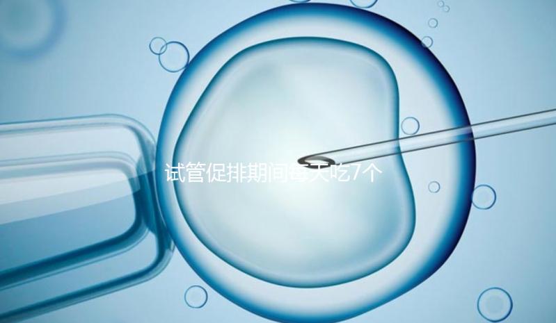 試管促排期間每天吃7個蠶蛹好處多，提高卵子質量只是其一