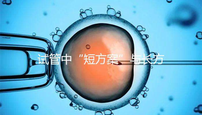 試管中“短方案”與長方案區別分析，時間并非唯一差異