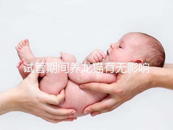 試管期間養(yǎng)龍貓有無影響剖析，是否胎停、流產(chǎn)取決這幾點