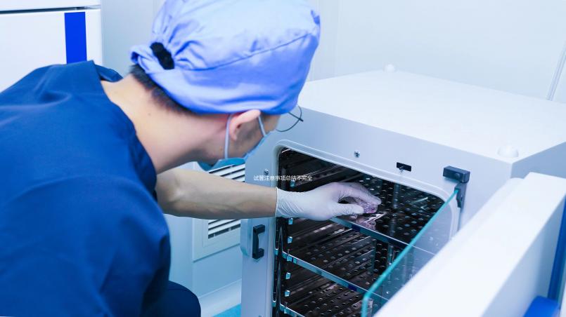 試管注意事項總結不完全縱隔子宮，要想成功，就要避免