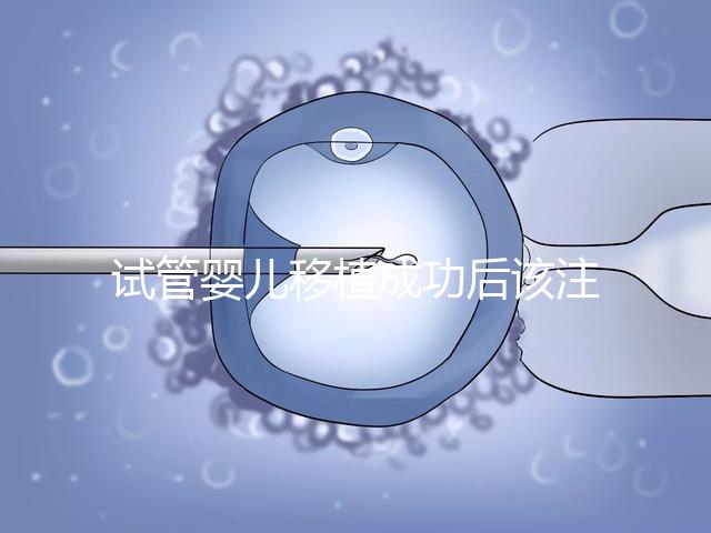 試管嬰兒移植成功后該注意哪些保胎事項?