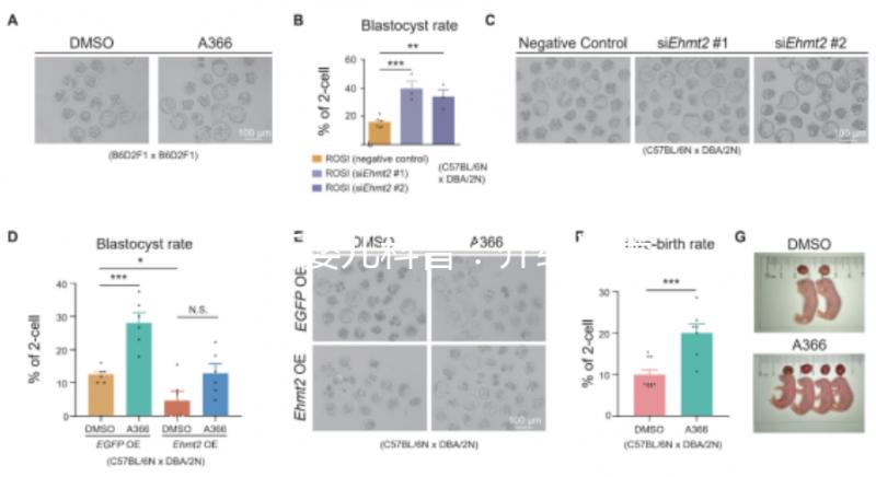 試管嬰兒科普:介紹試管嬰兒的基本概念、原理、分類、適應(yīng)癥、優(yōu)勢(shì)等