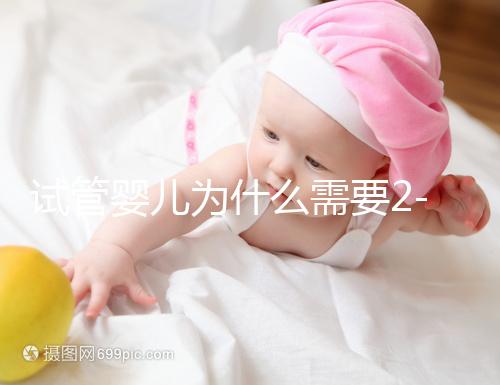 試管嬰兒為什么需要2-3個(gè)月？揭秘時(shí)間背后的科學(xué)奧秘