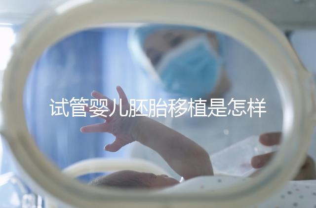 試管嬰兒胚胎移植是怎樣的過(guò)程?