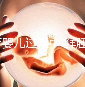 試管嬰兒過程中 鮮胚,凍胚和囊胚哪個(gè)成功率高