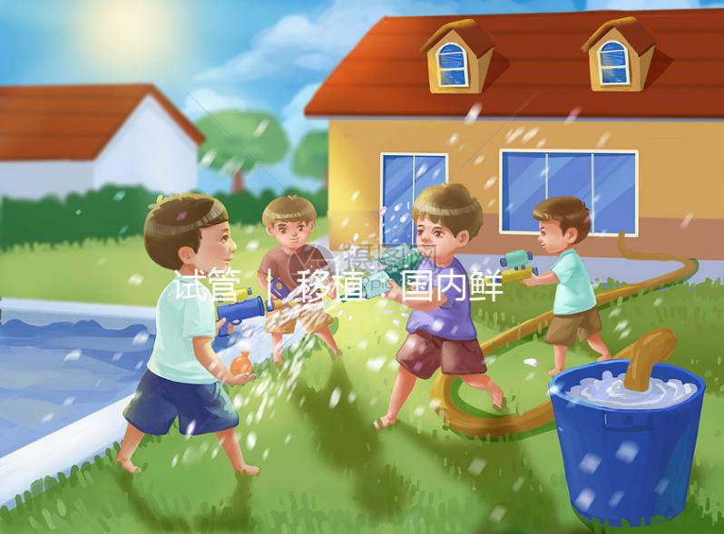 試管 | 移植:國內鮮胚和國外囊胚的區別