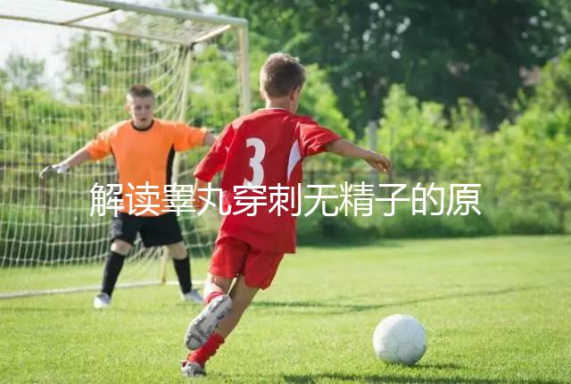 解讀睪丸穿刺無精子的原因，治愈性不大供精或是最后選擇