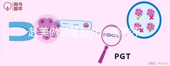 赴美做試管嬰兒，哪些不孕類問題更容易成功？