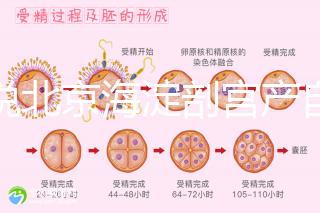 誰說北京海淀剖宮產(chǎn)自付費用高，了解2024年生育保險報銷比例？