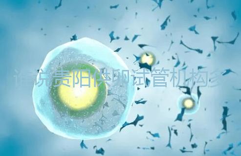 誰(shuí)說(shuō)貴陽(yáng)供卵試管機(jī)構(gòu)多給錢就不用排隊(duì),醫(yī)生:不亂收費(fèi)