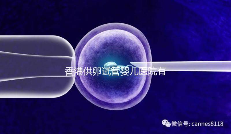 香港供卵試管嬰兒醫院有哪些點？附2024私立機構排名