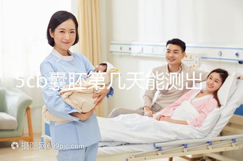 5cb囊胚第幾天能測出看移植成功后續(xù)發(fā)育怎么樣，不懂戳