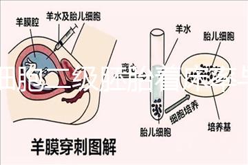 6細胞二級胚胎著床率與養囊成功率解讀，拿不準移植與否戳