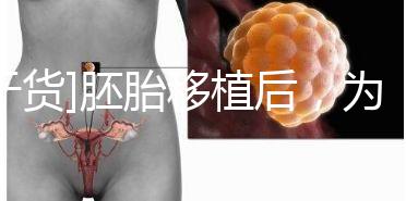 [干貨]胚胎移植后，為什么醫生告訴你不要提前懷孕？