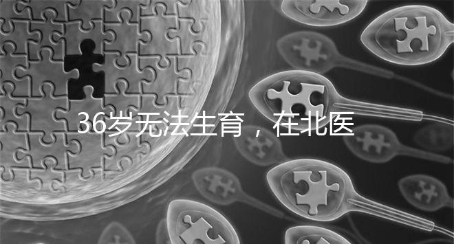 36歲無法生育，在北醫三院做人工授精成功率有多少？