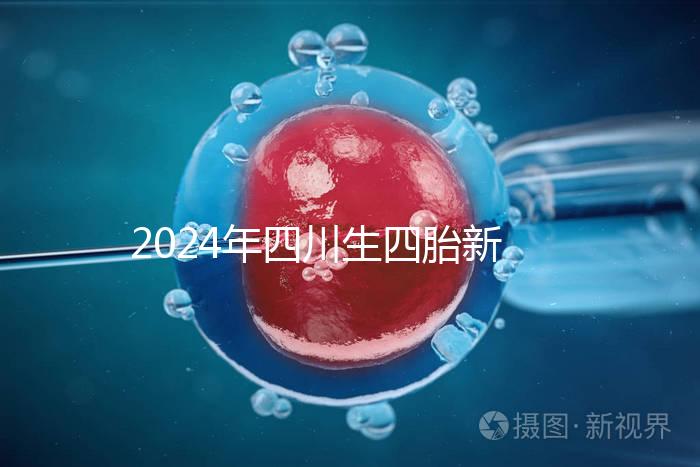 2024年四川生四胎新政策罰款多少分區(qū)，答案在這里自取