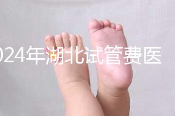 2024年湖北試管費醫療保險可以報銷？專家：時間還沒到？