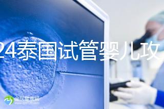 2024泰國試管嬰兒攻略索引:單身,注意人財兩空