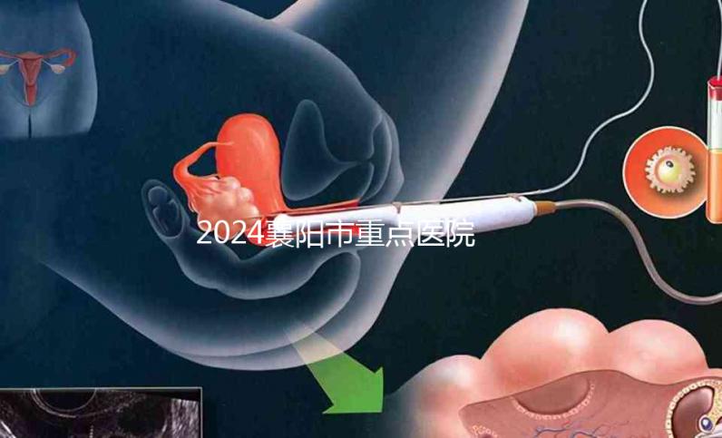 2024襄陽市重點醫(yī)院試管嬰兒費用明細,各項收費標準已列出