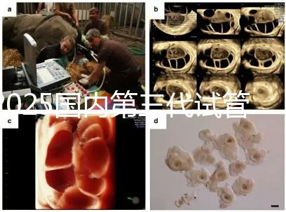 2025國(guó)內(nèi)第三代試管嬰兒醫(yī)院排名前十強(qiáng)公布（附地址）