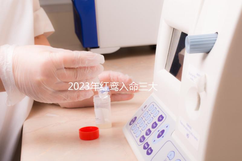 2023年紅鸞入命三大生肖盤點，屬虎男或遇良緣