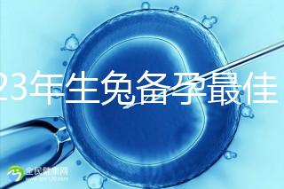 2023年生兔備孕最佳時(shí)間表參考，避開十兔九苦月份