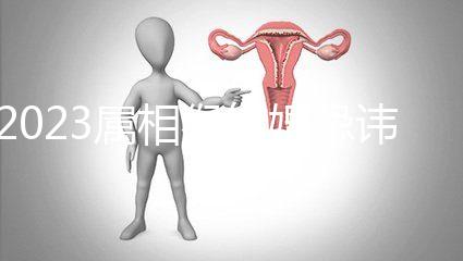 2023屬相猴結(jié)婚忌諱這三種屬相！屬豬的伴娘無(wú)需避開(kāi)